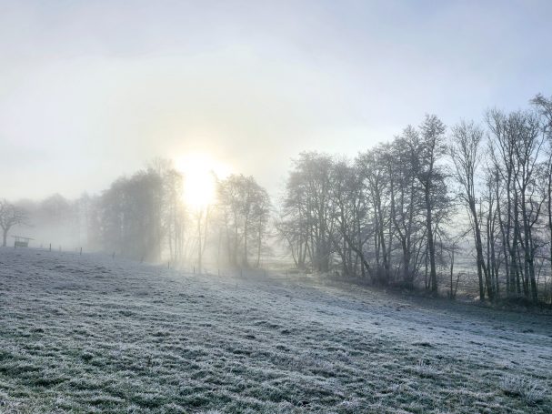 Zauber bei Morgennebel